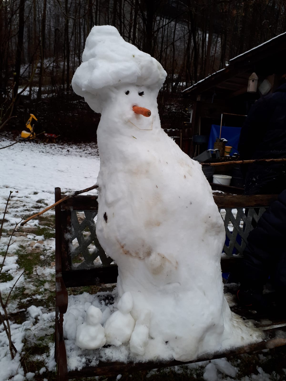 Schneemann-Foto-Show