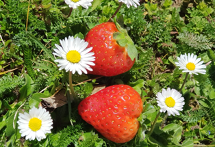 Frühling!! Endlich ist er da!