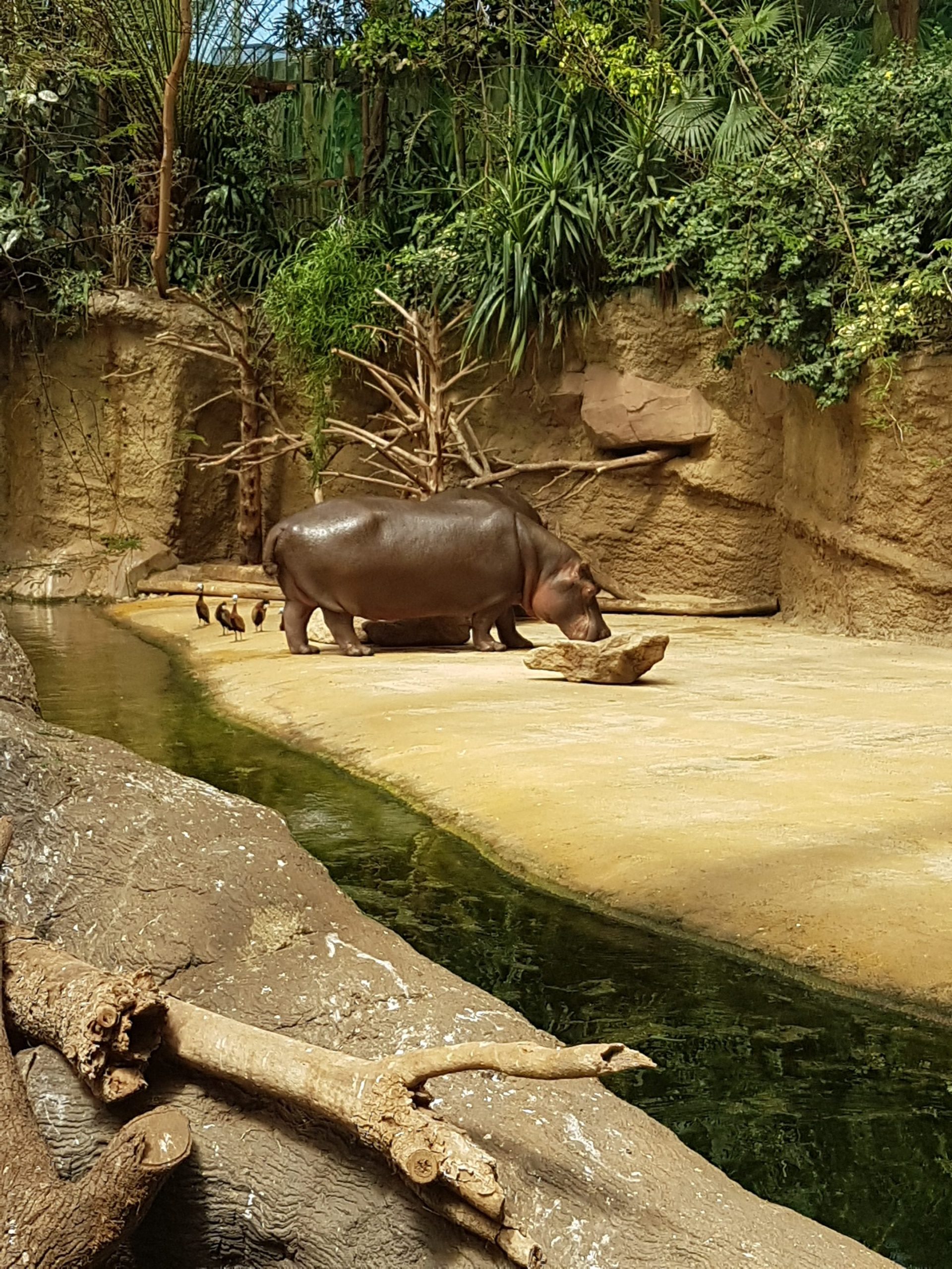 Schulausflug in den Zoo